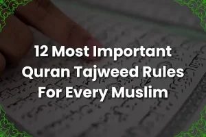 12 Most Important Quran Tajweed Rules For Every Muslim